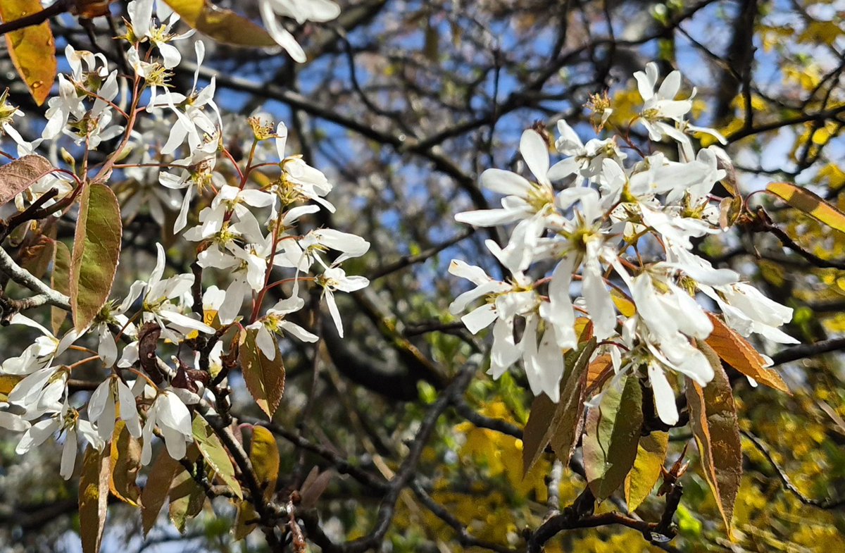 Mary Baillie tweet media