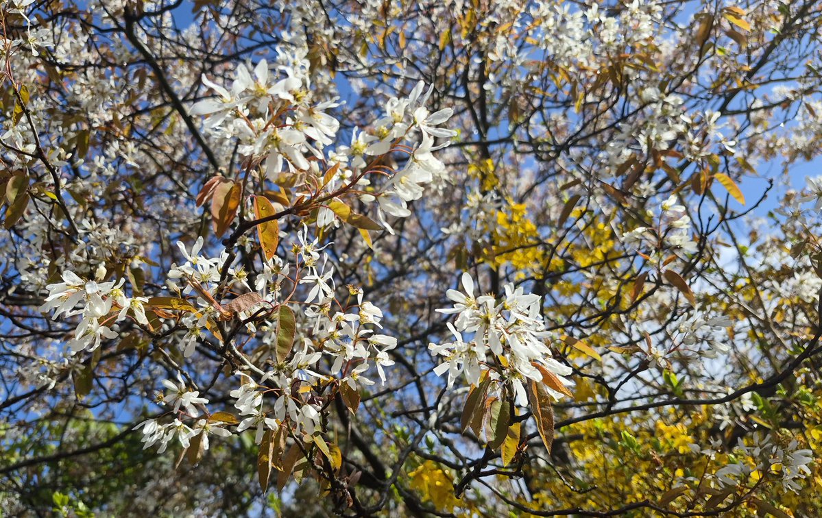 Mary Baillie tweet media