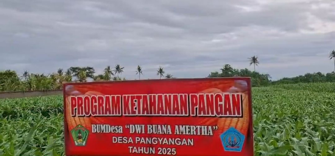Desa Pangyangan Menunjukkan Karya Nyata Menuju Kemandirian, Melalui KETAHANAN PANGAN yg dikelola BUMDesa. 

<a href="/YandriSusanto/">Yandri Susanto</a>
@KementerianDesaPDT

#KementerianDesaPDT
#BPSDMKementerianDesaPDT
#BUMDesaKelolaKetahananPangan
#KerjaPendampingDesaBerdampak
#TenagaPendampingProfesional