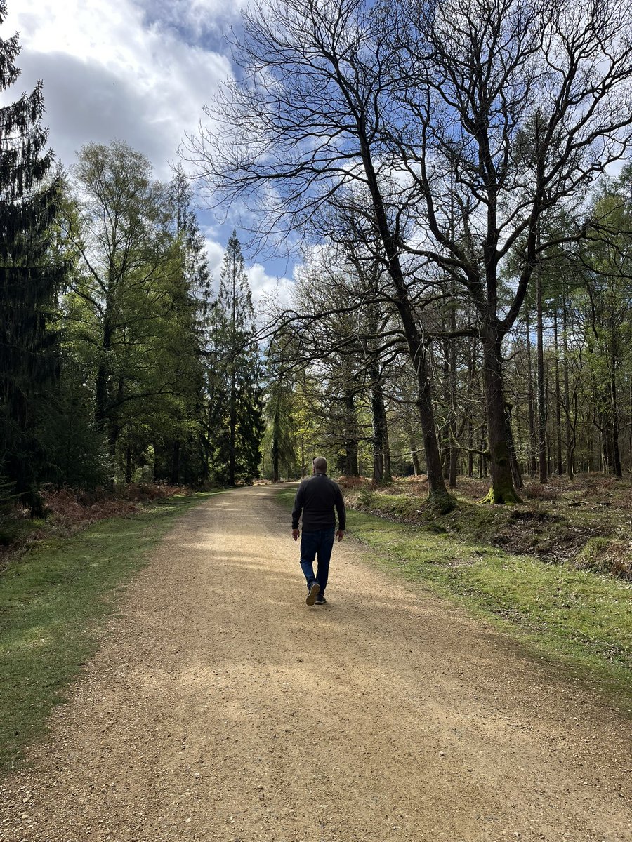 TravellingTrev's tweet image. Gorgeous #NewForest early this morning ❤️🌲🌳