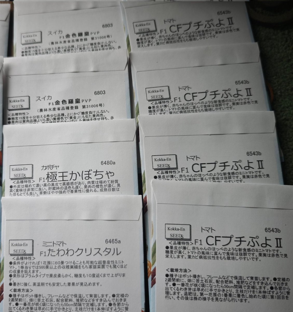 温泉小僧(온천애송이) tweet media