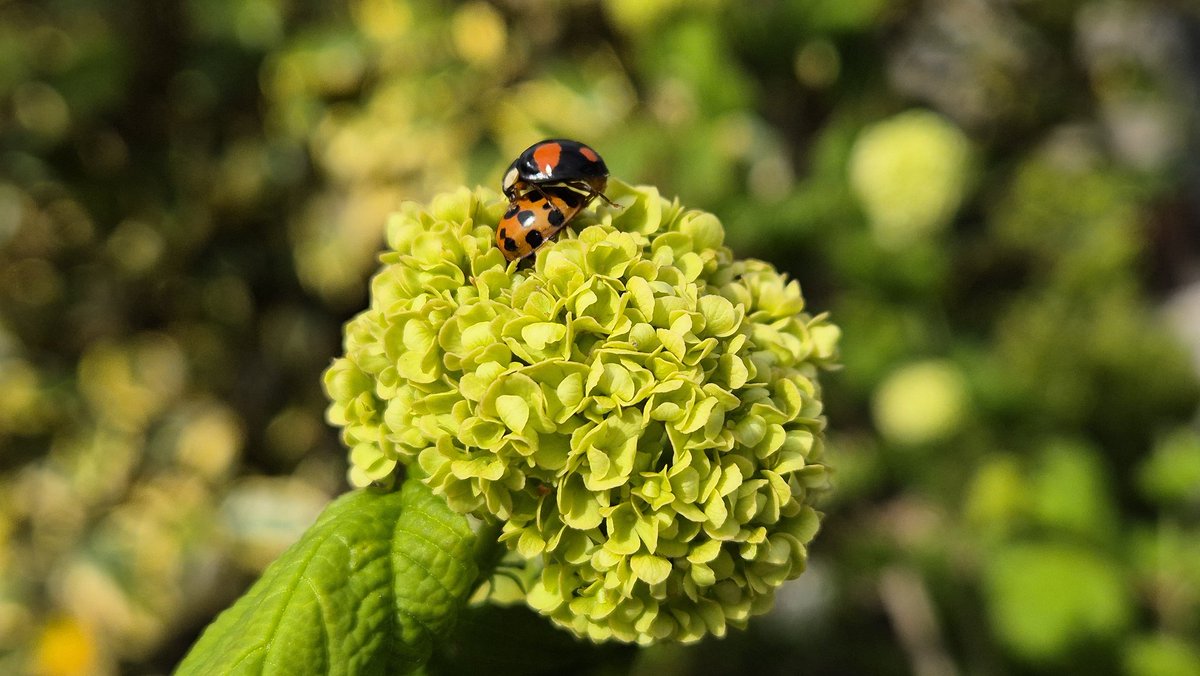 ☁️ N i c tweet media