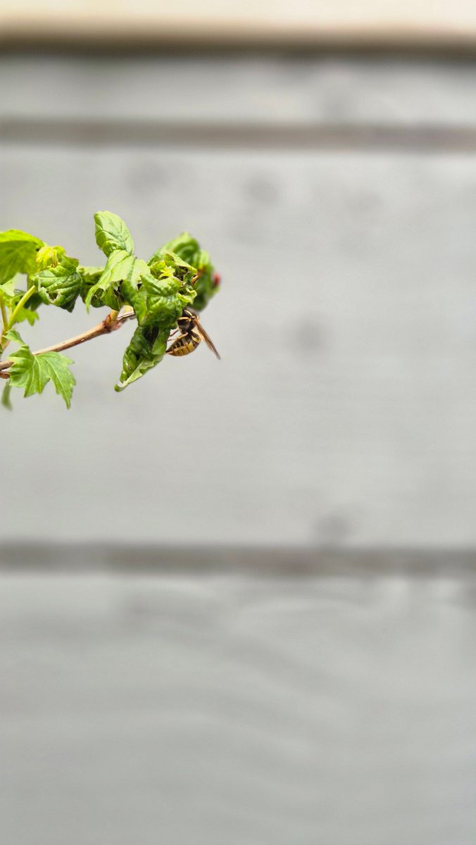 ☁️ N i c tweet media