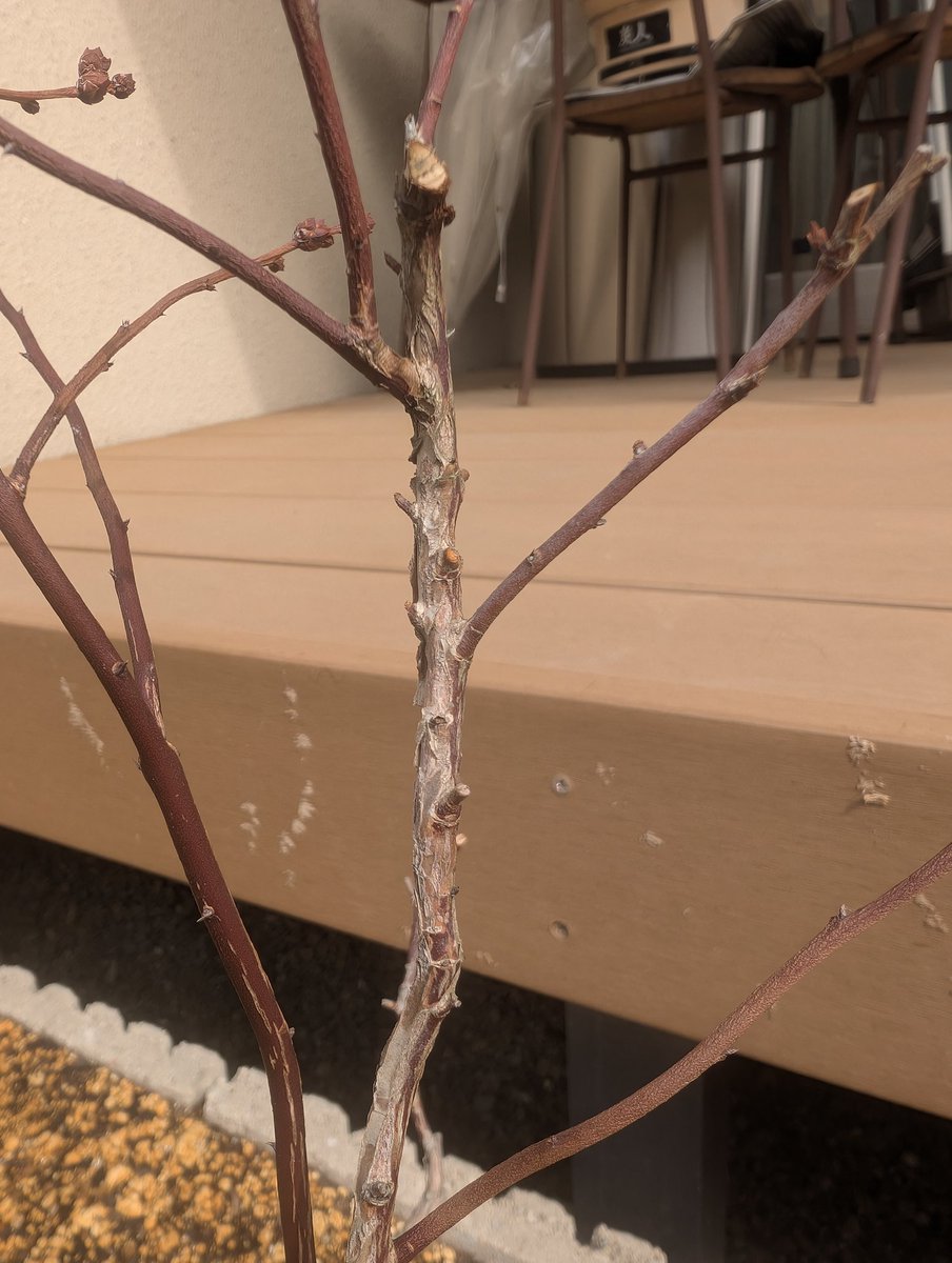 のうぇる tweet media