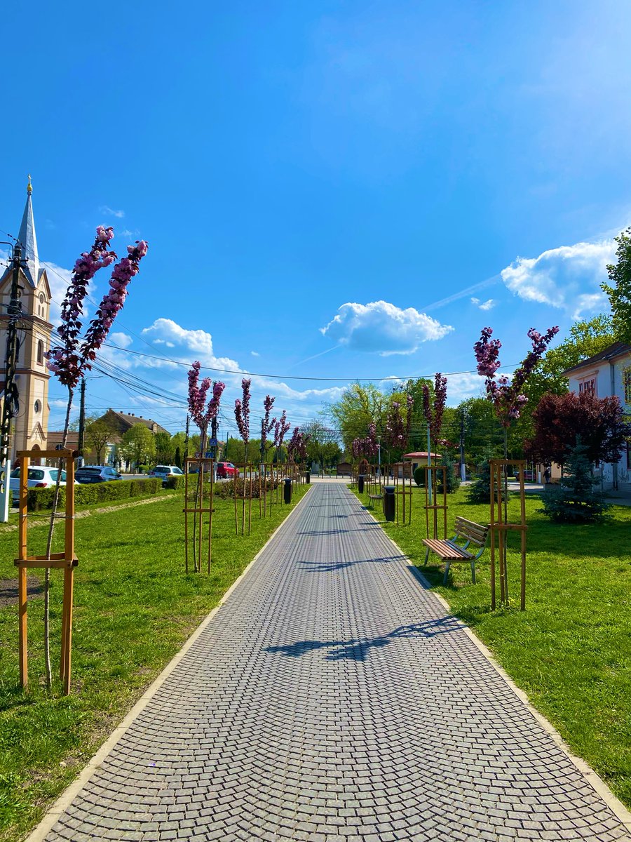 Vasile (@vasileraico) on Twitter photo 