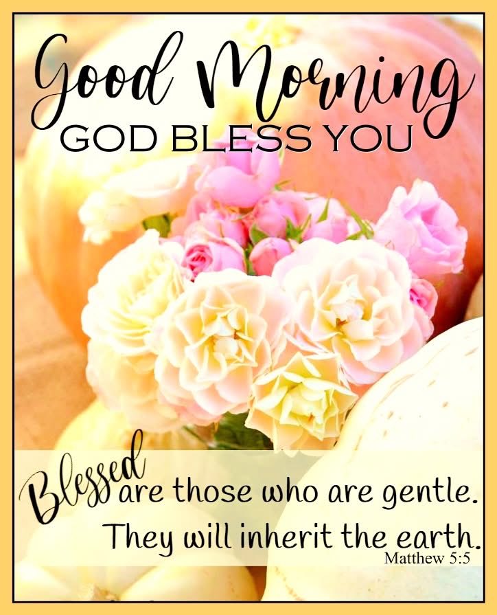 AuthorJoeNBrown's tweet image. #GoodMorning 🌸🌼🌺
BLESSED are those who are gentle ☮️✌🏼… for they shall inherit the earth 🌷🌍🌻 Matthew 5:5.

Matthew 5:9 states: "Blessed are the Peacemakers: for they shall be called the children of God". #GodBlessYou ✝️🎚️☦️