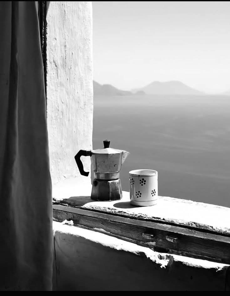 Metropolitan tweet media