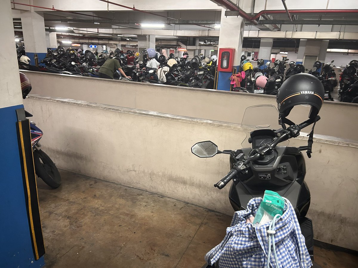 Ayesha. 🦙 tweet media