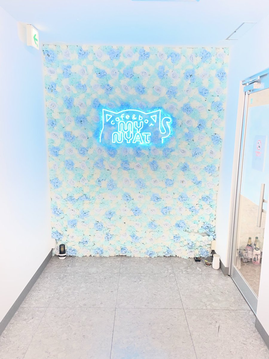 招き猫けんしん🌎🪽 tweet media