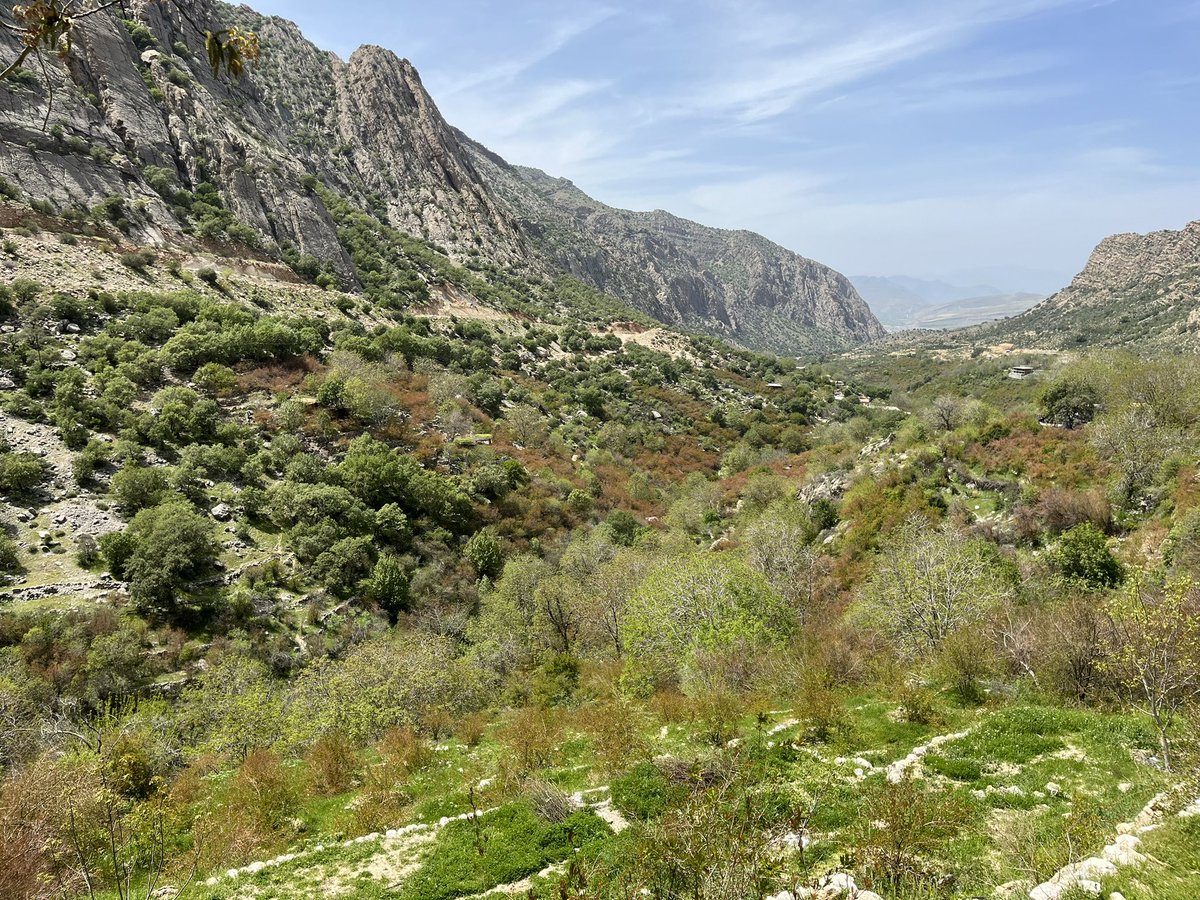 Peyman Yazdani tweet media