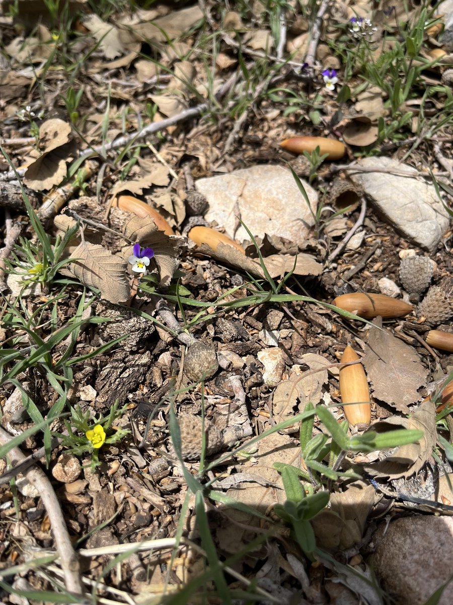 Peyman Yazdani tweet media