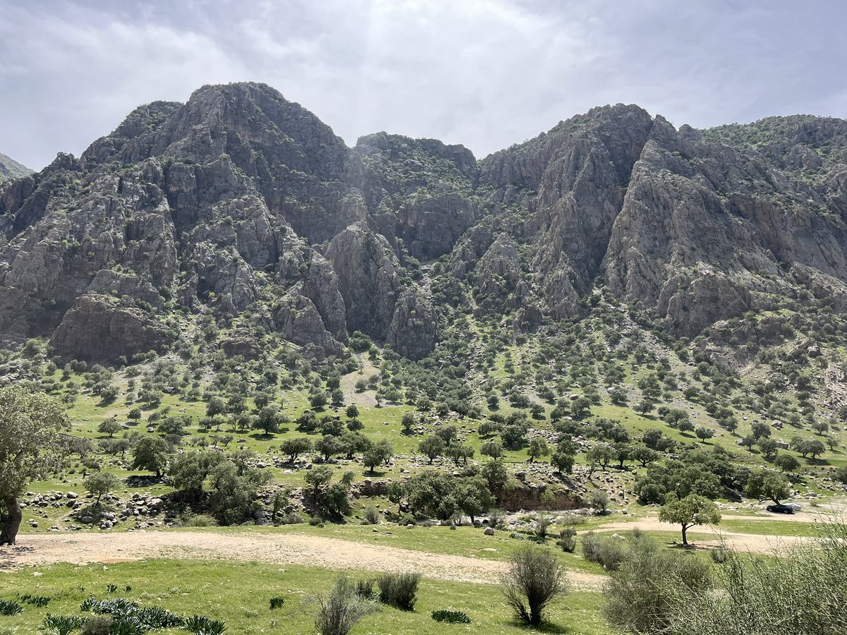 Peyman Yazdani tweet media