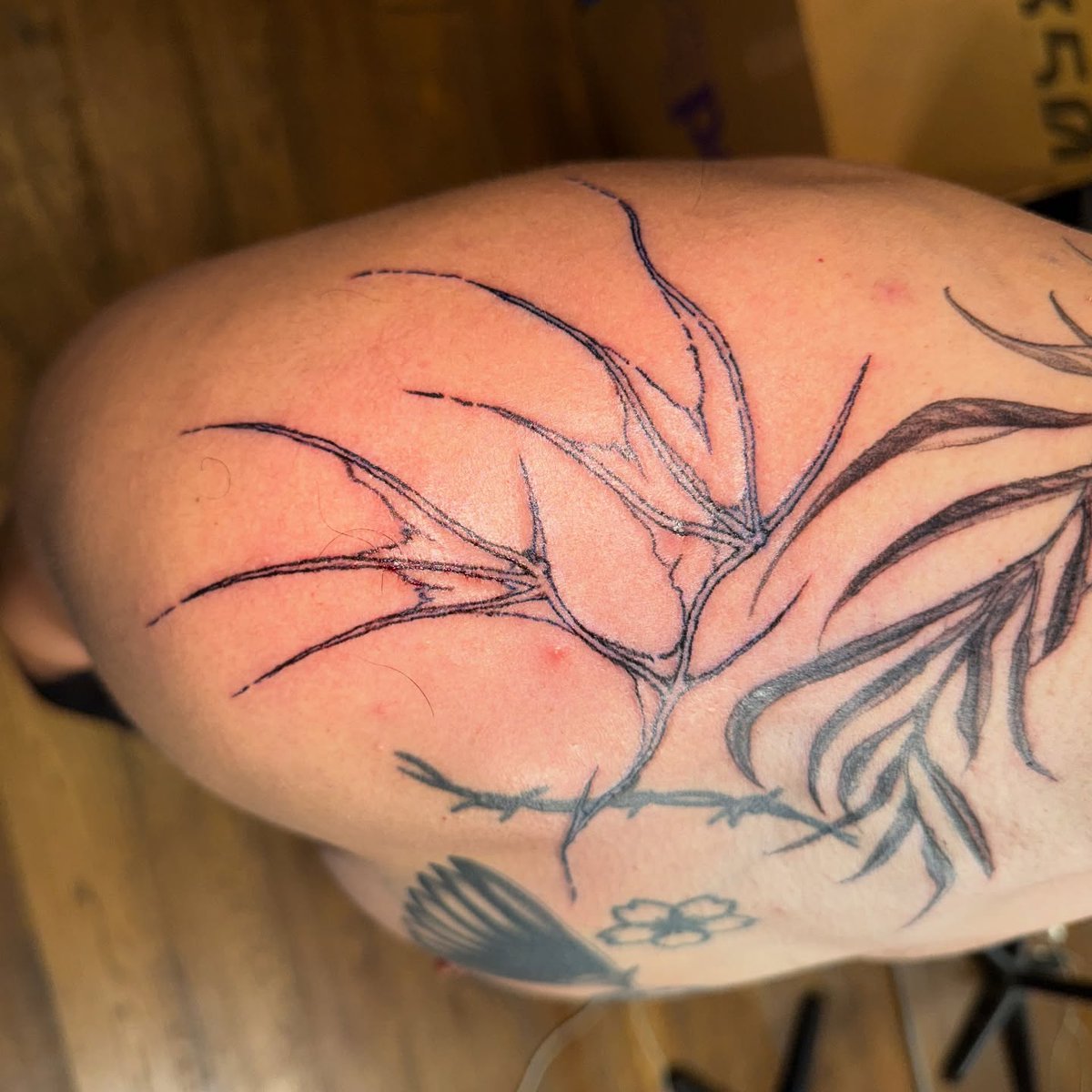 Joji Tocantins tweet media