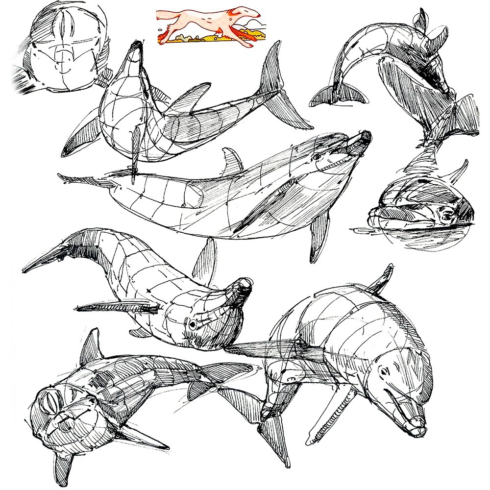 orca_dance's tweet photo. HI! My name is Orcadance.
I am graphic designer and traditional illustrator.
I LOVE living and prehistoric animals!

#paleoart #art #animal #traditionalart https://t.co/VTuDwSzW0C