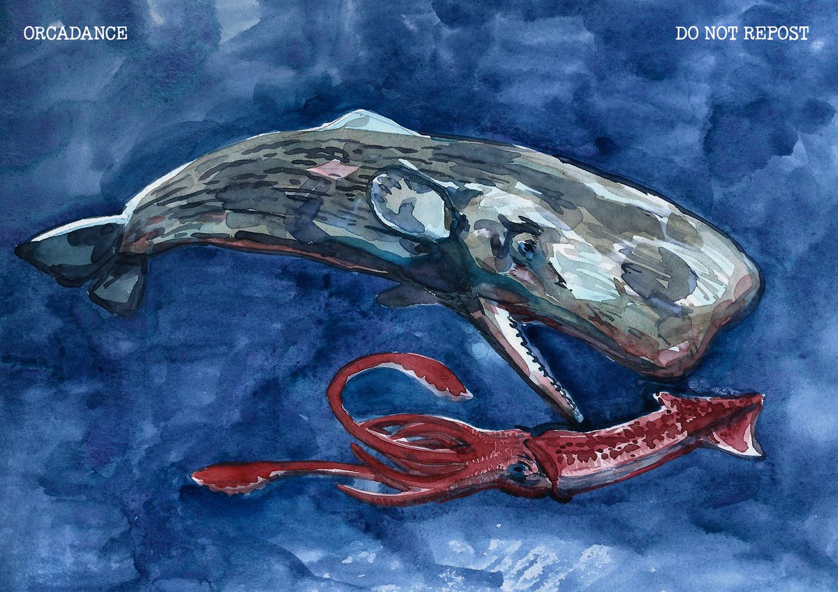 orca_dance's tweet photo. HI! My name is Orcadance.
I am graphic designer and traditional illustrator.
I LOVE living and prehistoric animals!

#paleoart #art #animal #traditionalart https://t.co/VTuDwSzW0C