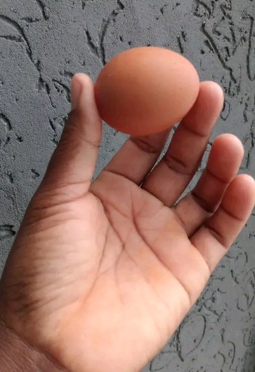 BÏG🇳🇬JØSH🇯🇵 tweet media