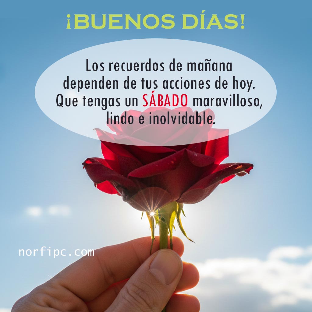 FrasesDeAmor tweet media