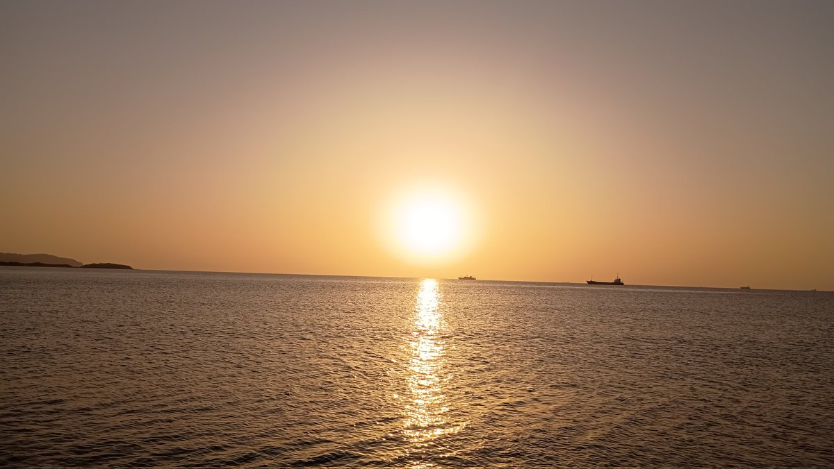 juninsau's tweet photo. 館山の夕日
お寺の白い藤の花が満開 https://t.co/6AbQupID1G