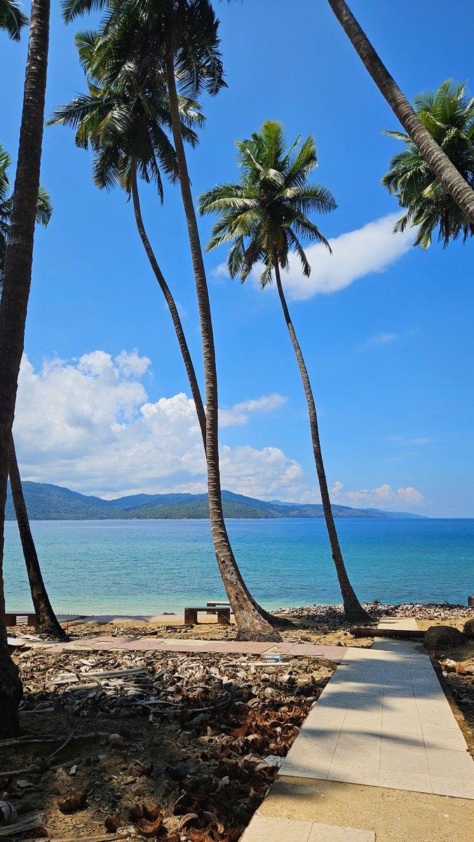 (Vi)Root tweet media