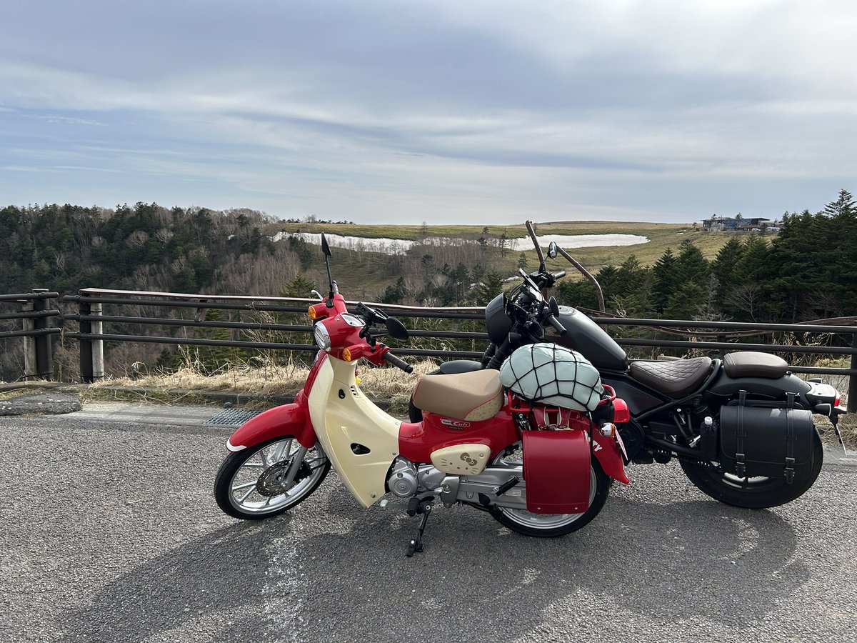 🌙なかむら はづき🌙 tweet media