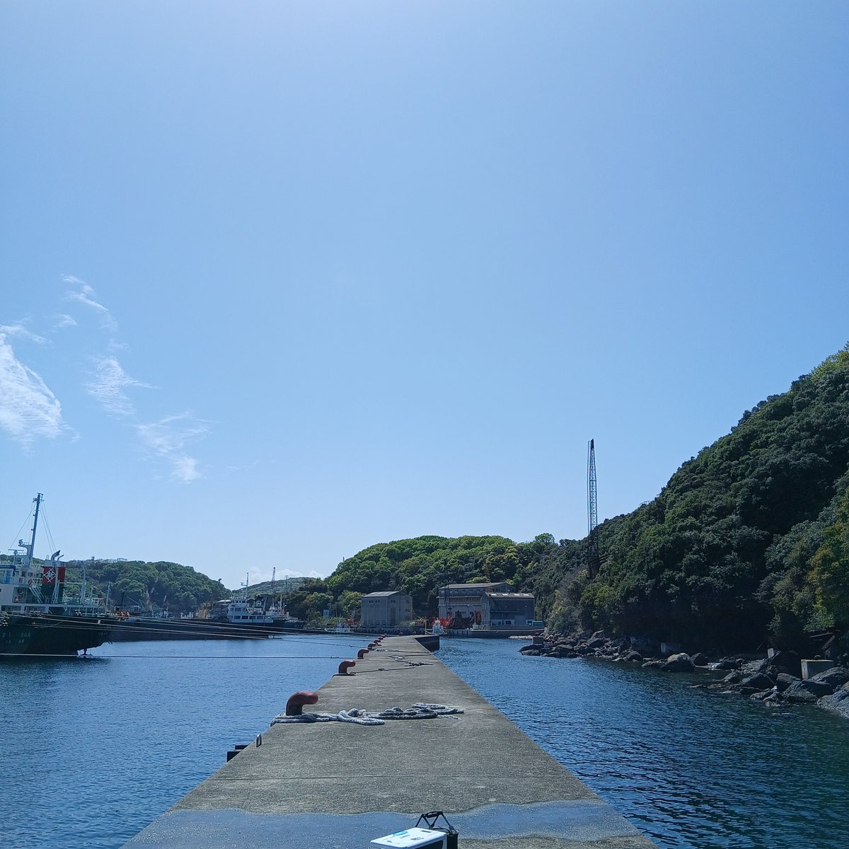 takehiro_miki's tweet photo. 今日はジャパンカップの予選で家島に行ってきました🪣🎣
チヌは2枚だけで、あとはマダイが2つとコブダイが3つ‥(￣ω￣;)

#フカセ釣り
#シマノジャパンカップ
#チヌ
#クロダイ https://t.co/BfzixlWNdn