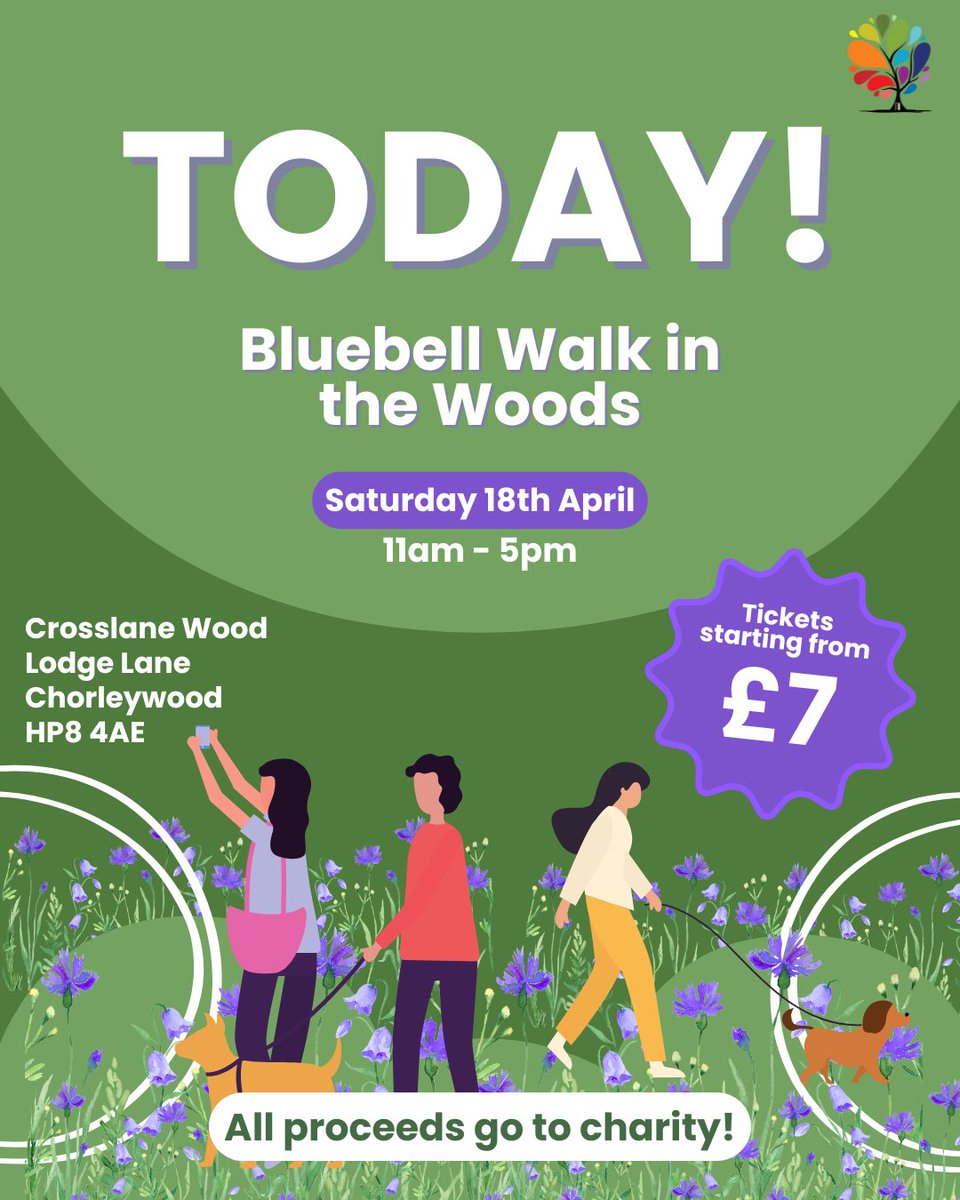 MEmployAble's tweet photo. Today is the day!

The annual charity bluebell walk is BACK once again 🥰

Join us today from 11am to 5pm. Free parking is available on Lodge Lane &amp; dogs are welcome 🐶

You can buy tickets at the entrance, or you can click here to get advance tickets: https://t.co/kw8BoUAdgU https://t.co/Wwsxpa9mvn