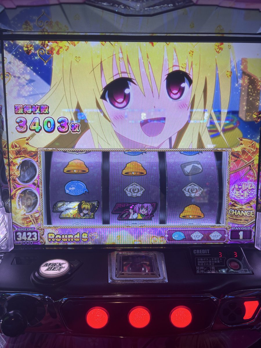 ひー(`ω･´)/‎🤍🪽 tweet media