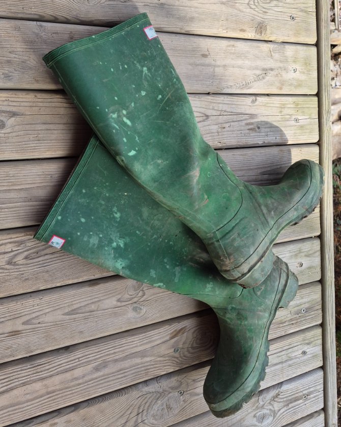 HardForWellies tweet media