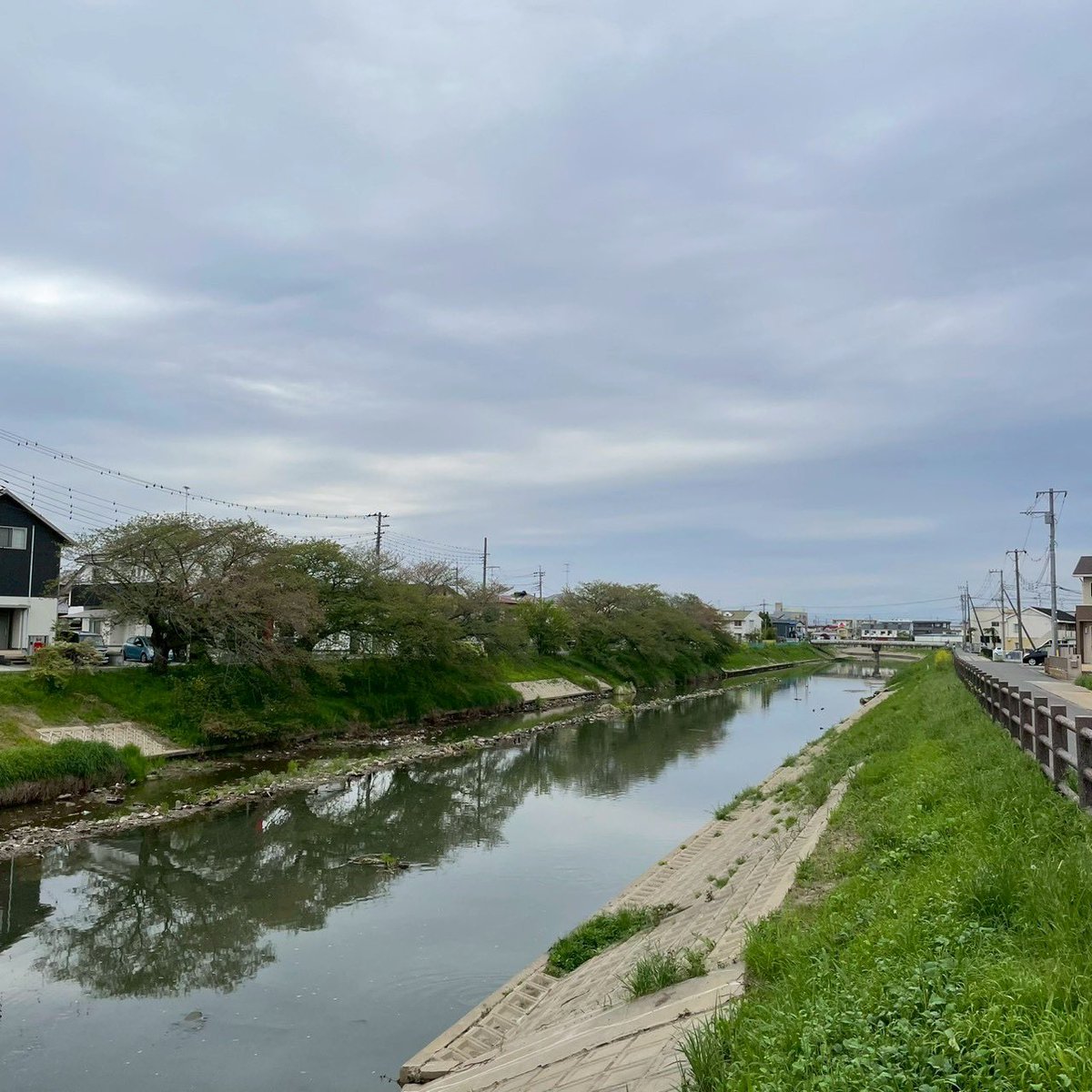 すいっとプロジェクト tweet media