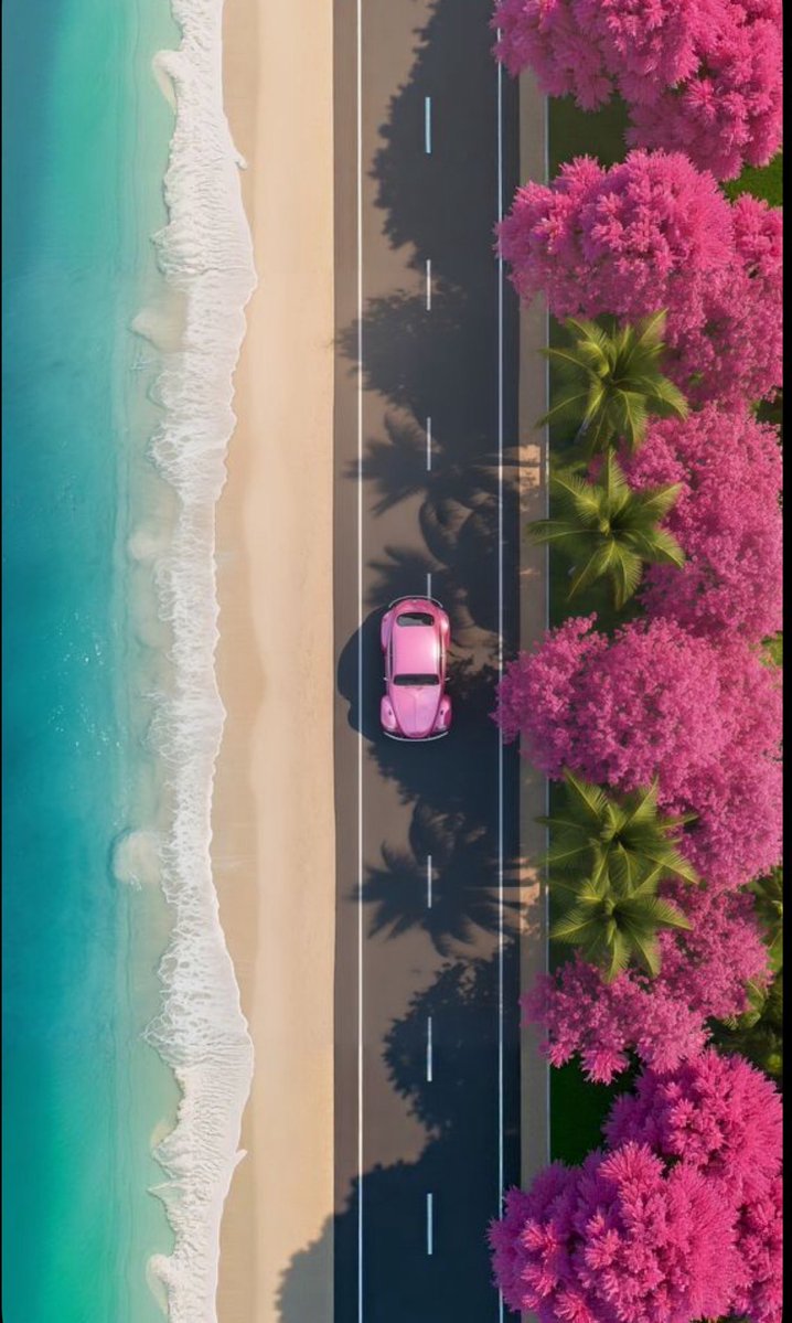 انثى أنيقة ♏✨ tweet media