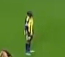 flowless tweet media