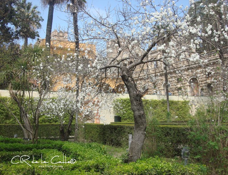 Trianarts's tweet image. Rainer María Rilke: "La primavera ha vuelto…", de "Sonetos a Orfeo"

trianarts.com/rainer-maria-r…

#poesía #poesías #Rilke #RainerMaríaRilke #simbolismo