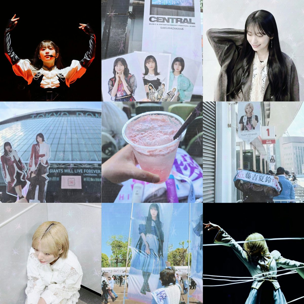 リんご🍎 tweet media