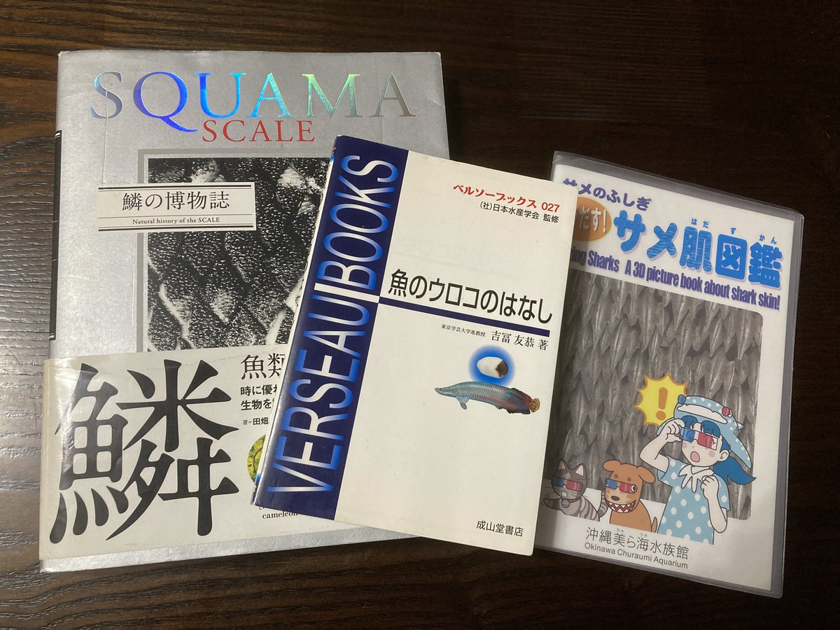 シーラカワスの鱗とサメ🦈 tweet media
