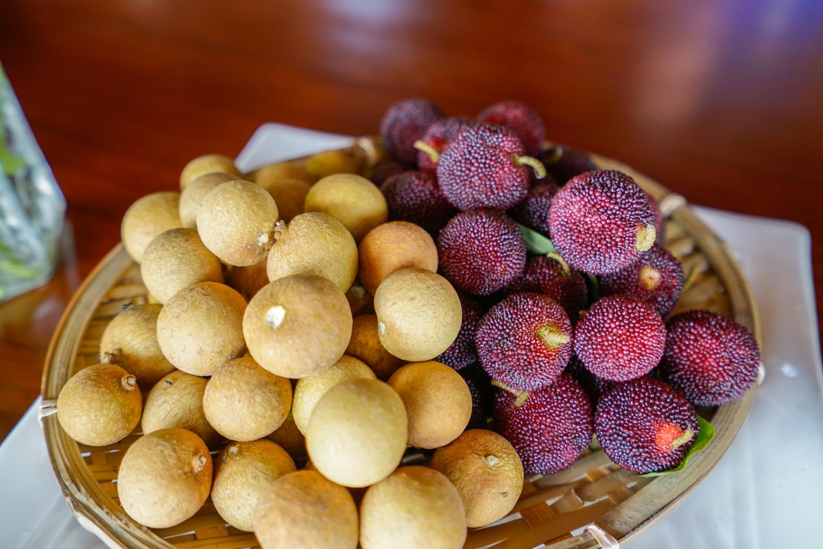 richard logan tweet media