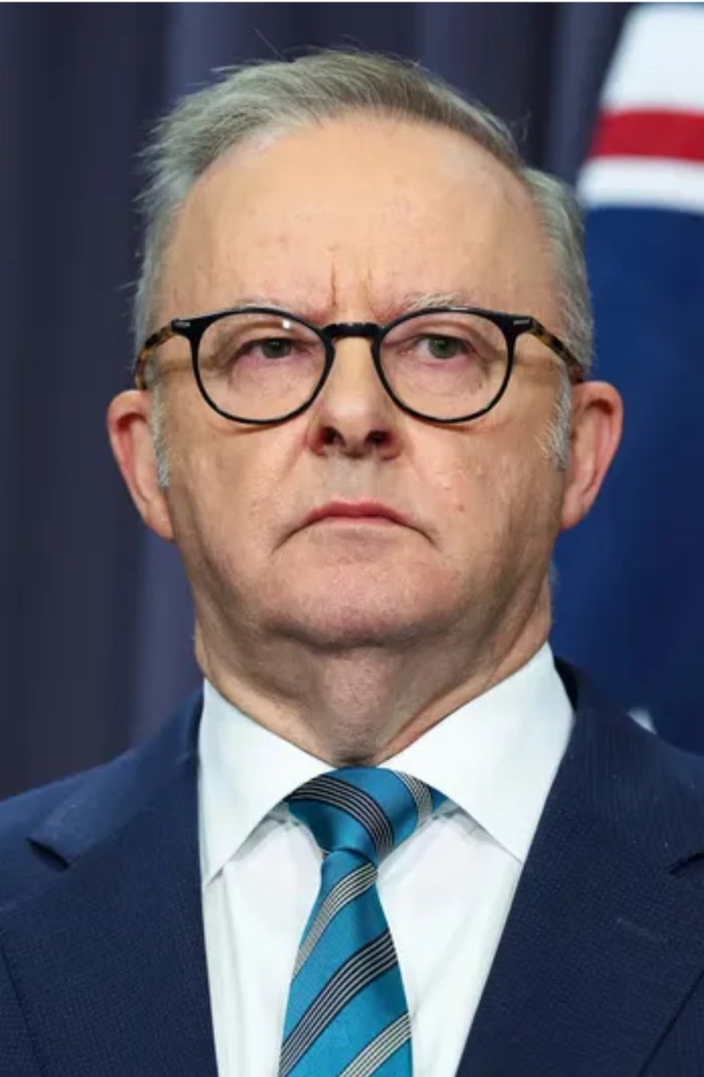 Polly Wilson tweet media