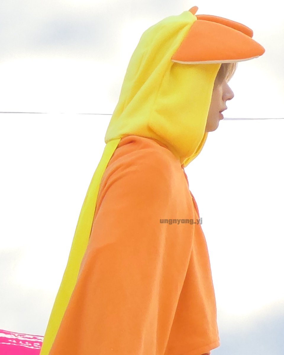 웅냥이 tweet media