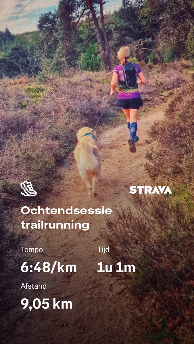 jsouv3's tweet image. Mooie route uitgezet door mijn loopmaatje, slechts 4x fout gelopen,  maar ook dat is #trailrunning 😂 @loopmaatjes @hardloopvriend #nevernotrunning #running @NationaalParksh