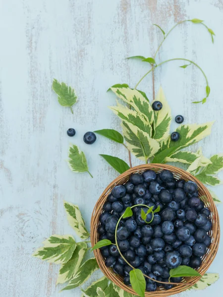 JUST LEA tweet media