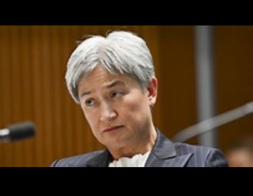 Polly Wilson tweet media