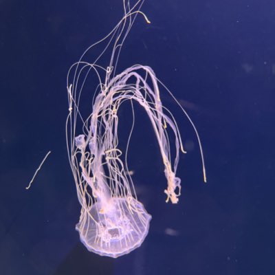 fearnot_my's tweet photo. #NewProfilePic https://t.co/Uek3KD0HEl