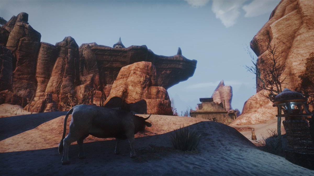 HVNR | Frosty ❄️ tweet media