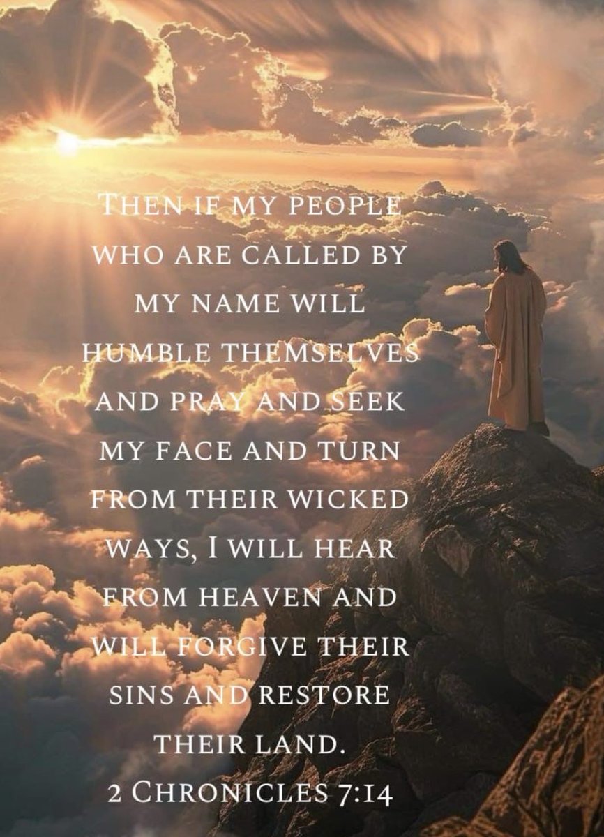 Brian Toth tweet media