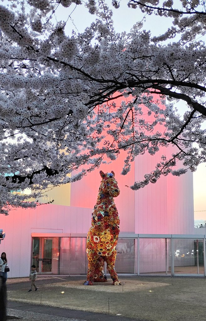 🍃風吹いてるからなのか
かなり体感寒くなってきた
上着持って来れば良かった(^_^;)
最後の写真です
美術館の🐴お馬さんと🌸^^
リラックス出来ました😌