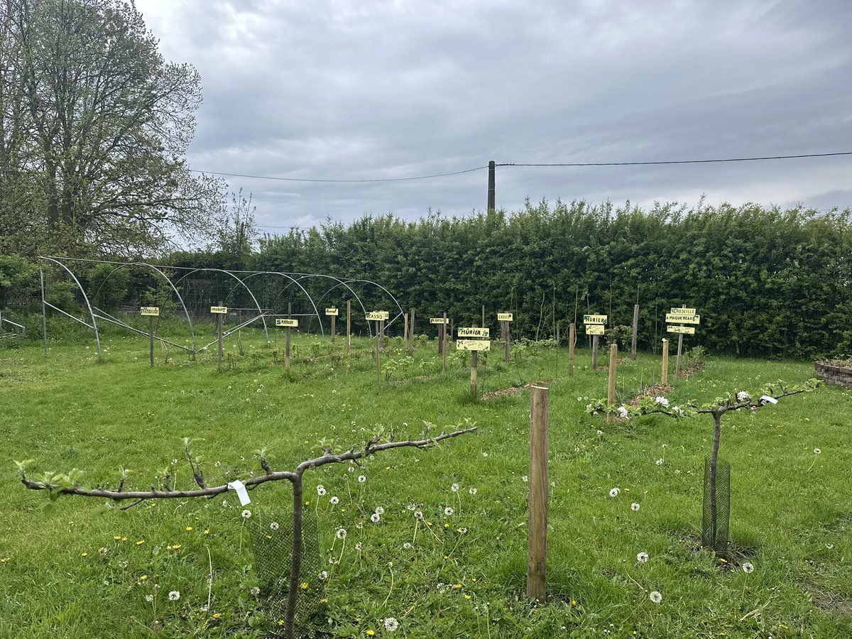 Victor Catteau tweet media