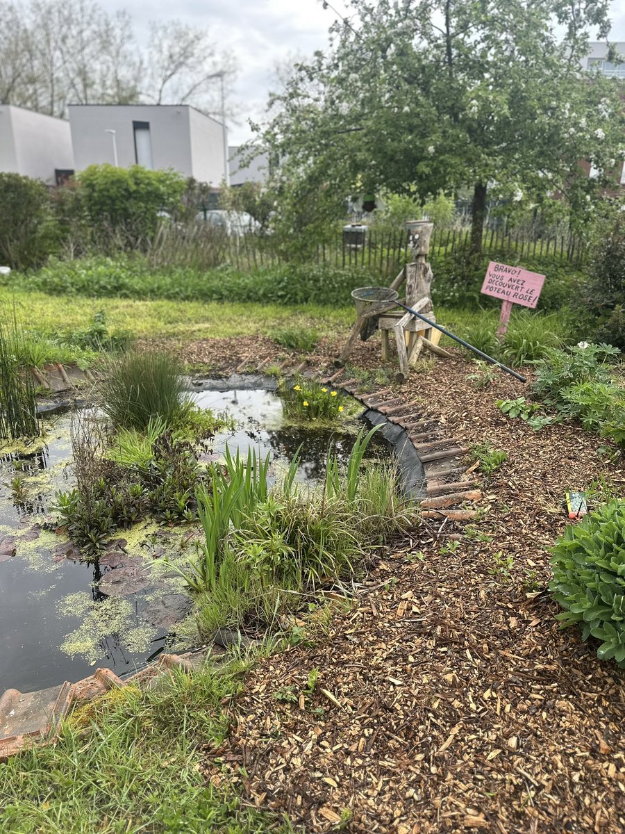 Victor Catteau tweet media