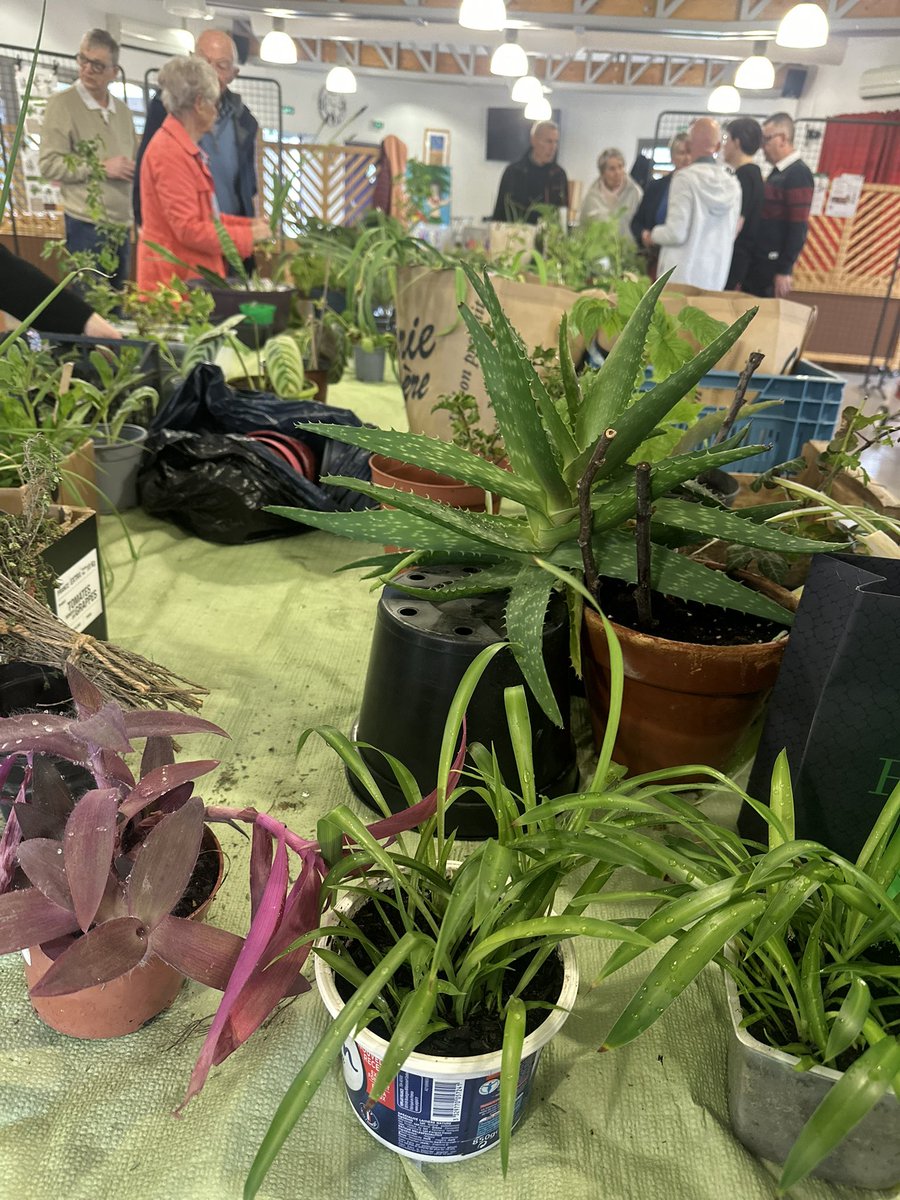 Victor Catteau tweet media