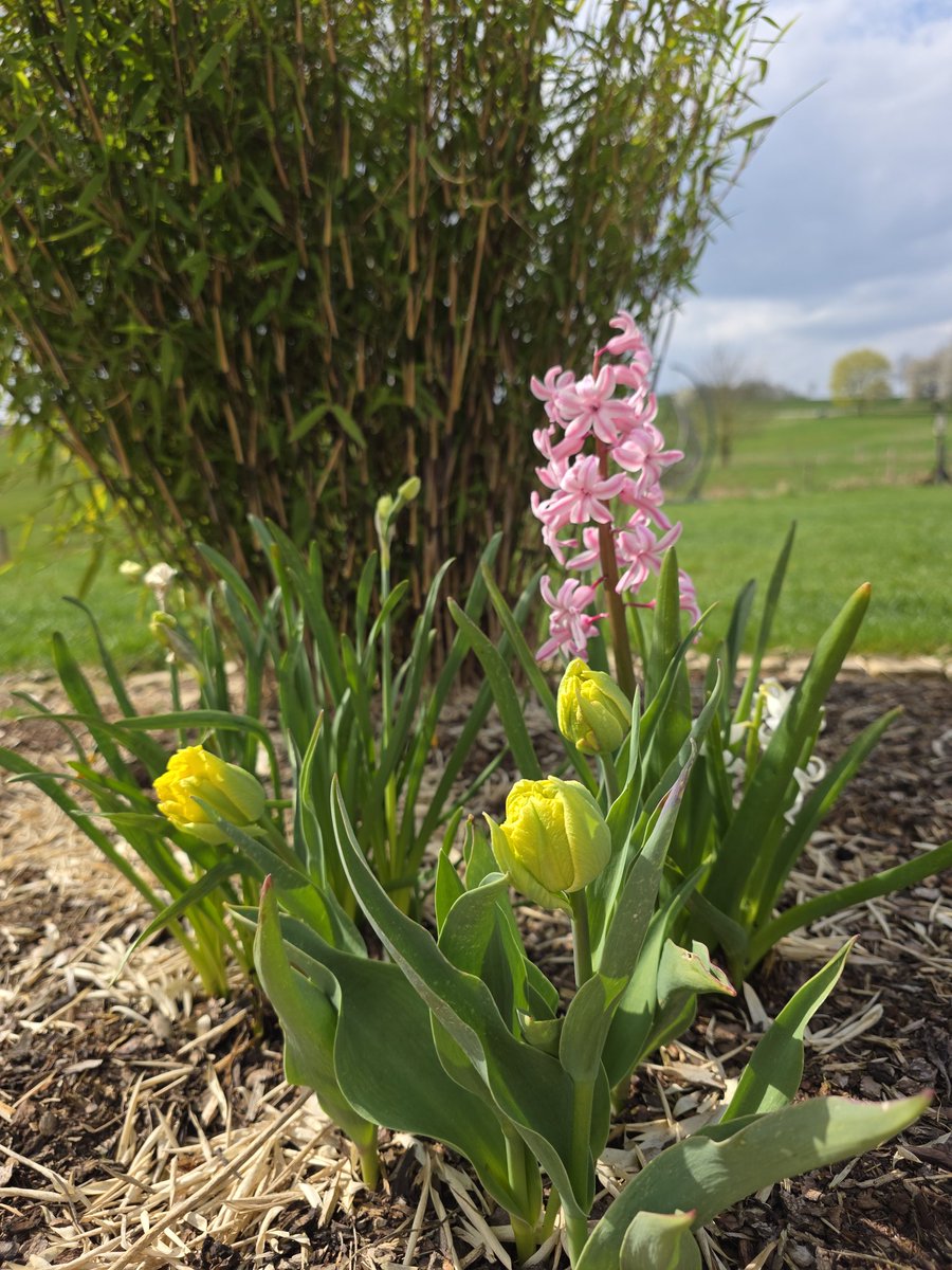 Stephan Luering 🇩🇪 tweet media