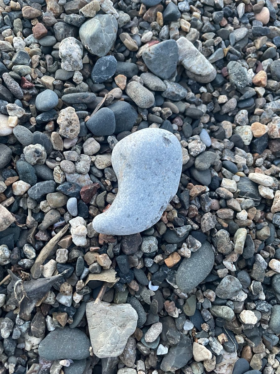 はさみたこ tweet media