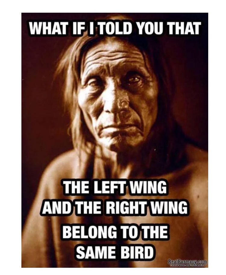 Write2Fite's tweet photo. 👆Please Read Above 🙏

“What If I Told You That
   The Left Wing And The Right Wing
     Belong To The Same Bird.”

-#Cherokee #NativeAmericanWisdom

🪶🕊️🌎🕊️🪶
#WeAreOne
🪶🕊️🌎🕊️🪶

I’ll be on when I can~🫶
My #RareDisease is 😣~Sorry❤️‍🩹

Love you,
A🕊️
👇
https://t.co/IpWRF2yrXB https://t.co/VEaGNDn1gM